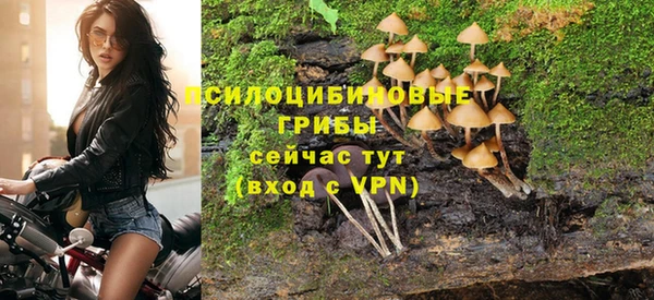 бошки Алзамай