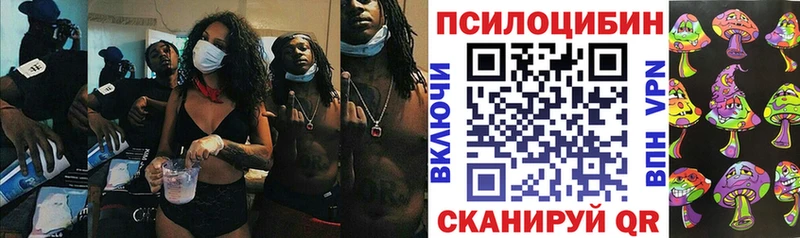Галлюциногенные грибы прущие грибы Грязовец